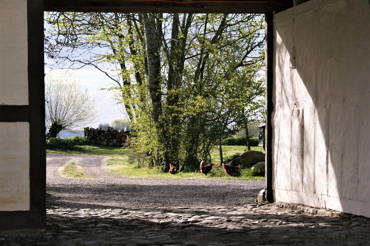 Appartement Ferielejlighed Pa Rodkaergard à Kerteminde Extérieur photo